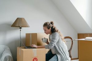 attic insulation variety options