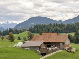 jewsons timber pricing details