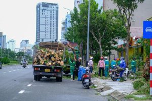 sustainable construction using earth