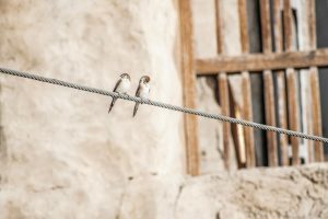 thermal protection for buildings